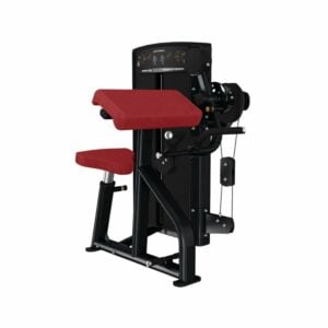 LIFE FITNESS Axiom Series Dual-Use Bicep Curl / Tricep Extension