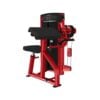 LIFE FITNESS Axiom Series Dual-Use Bicep Curl / Tricep Extension