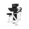 LIFE FITNESS Axiom Series Dual-Use Bicep Curl / Tricep Extension
