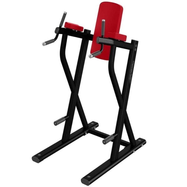 LIFE FITNESS Axiom Series Dip / Leg Raise