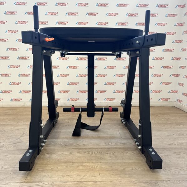 ROGUE Z HYPER Reverse Hyper Bench *Ex Demo* - Image 4