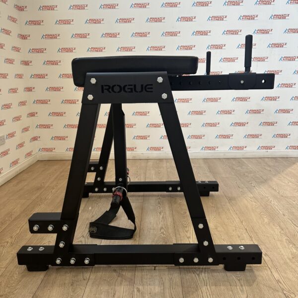 ROGUE Z HYPER Reverse Hyper Bench *Ex Demo* - Image 3