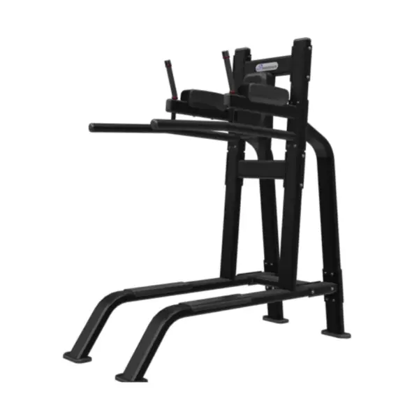 NAUTILUS® LEG RAISE / DIP