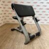 Technogym Selection Line Preacher Curl Scott Bench
