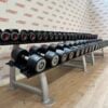 Life Fitness Urethane Dumbbell Set 2kg to 40kg with 2 Escape Storage Racks