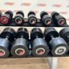 Life Fitness Urethane Dumbbell Set 2kg to 40kg with 2 Escape Storage Racks