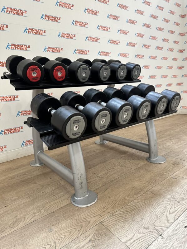 Hammer Strength PU Dumbbell Set 20kg to 30kg with Escape Fitness Storage Rack
