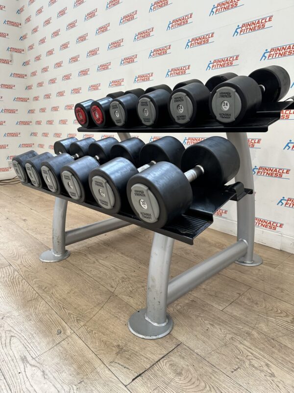Hammer Strength PU Dumbbell Set 20kg to 30kg with Escape Fitness Storage Rack - Image 3