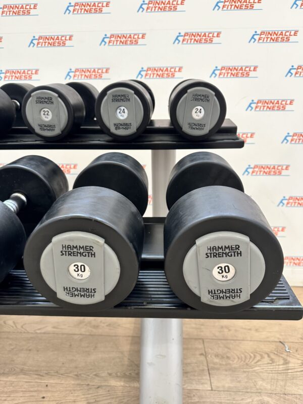 Hammer Strength PU Dumbbell Set 20kg to 30kg with Escape Fitness Storage Rack - Image 7