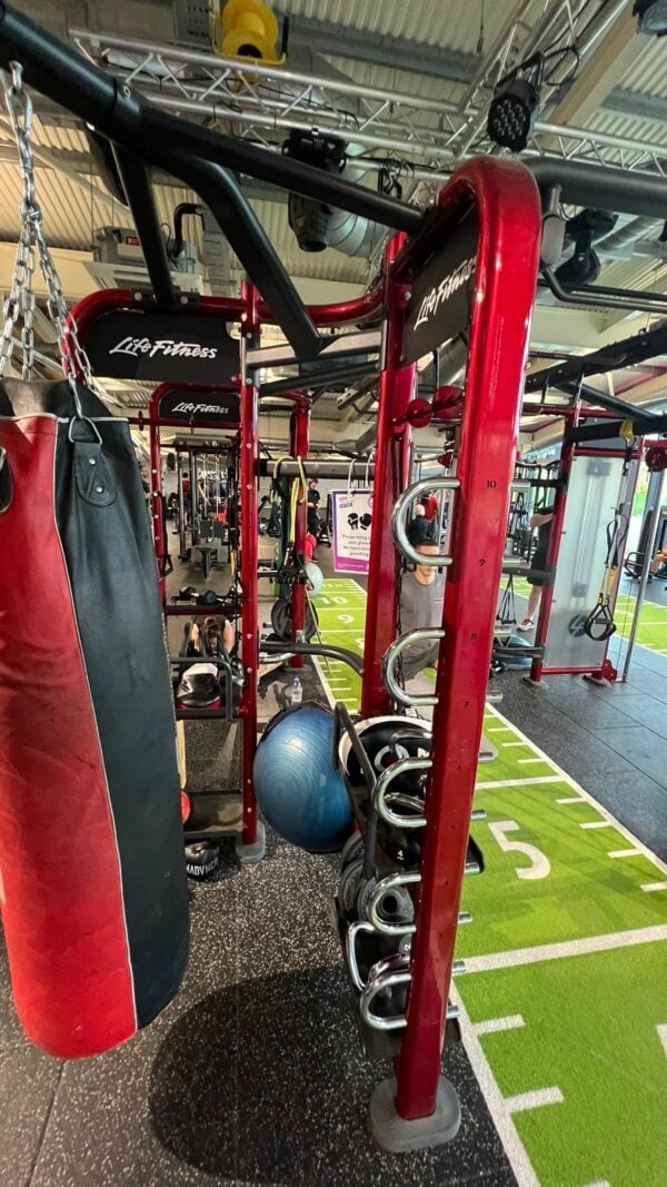 Life Fitness SYNRGY 360XL Group Training Rig - Image 6