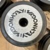Technogym Olympic Weight Plates