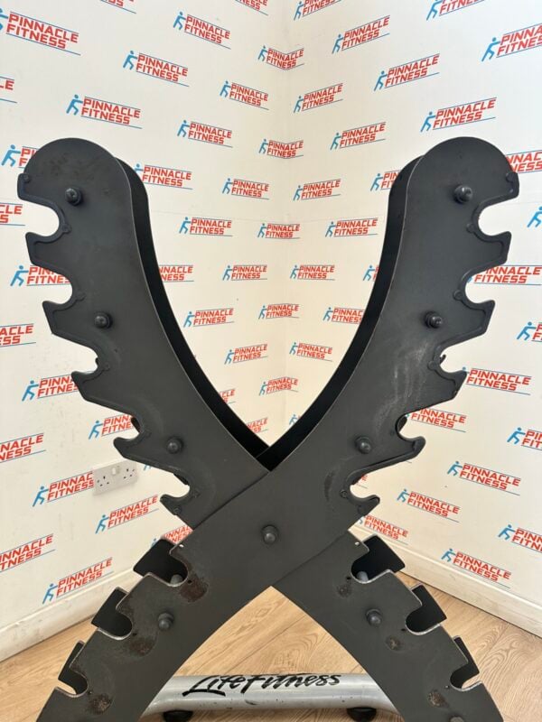LIFE FITNESS X-Rack Vertical Dumbbell Rack - Image 4