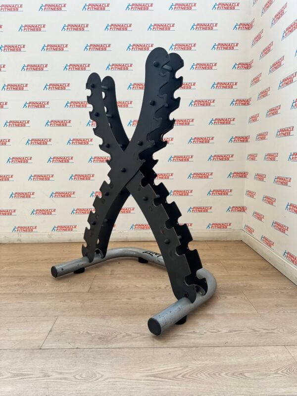 LIFE FITNESS X-Rack Vertical Dumbbell Rack