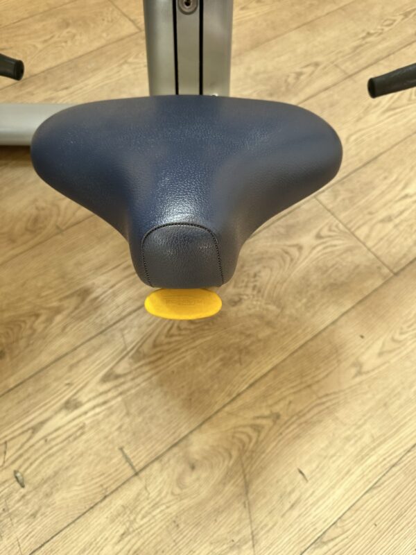 Technogym Selection Arm Curl - Image 5