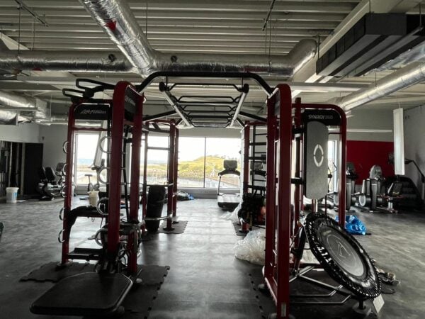 Life Fitness SYNRGY 360XL Functional Group Training Rig - Image 2