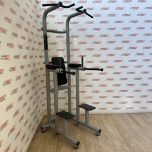 Technogym Chin Dip Leg Raise Frame