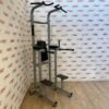 Technogym Chin Dip Leg Raise Frame