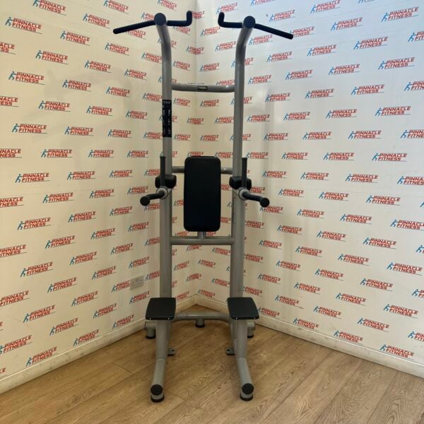 Technogym Chin Dip Leg Raise Frame - Image 7