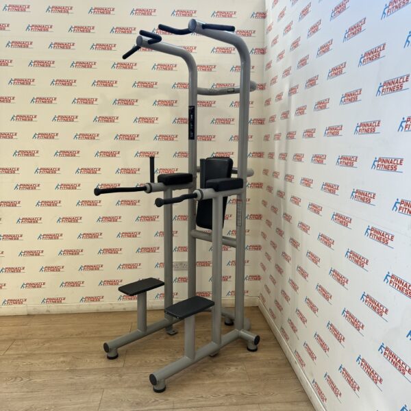 Technogym Chin Dip Leg Raise Frame - Image 6