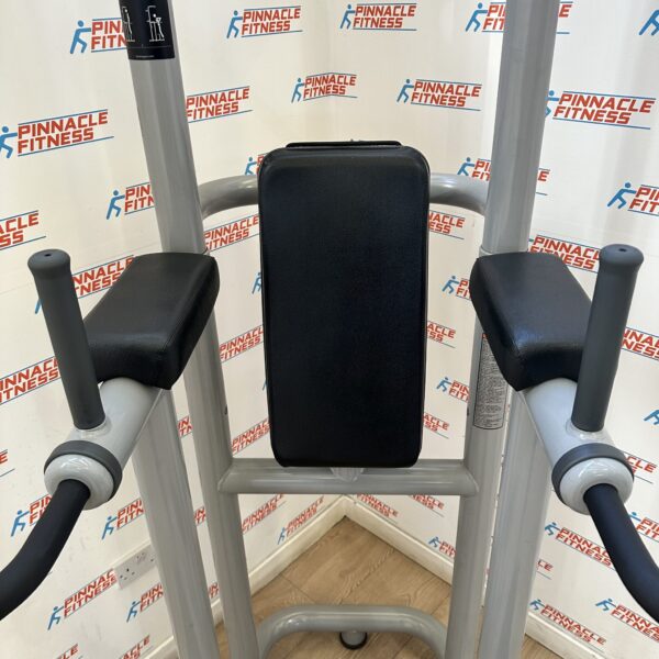 Technogym Chin Dip Leg Raise Frame - Image 2