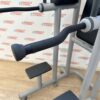 Technogym Chin Dip Leg Raise Frame
