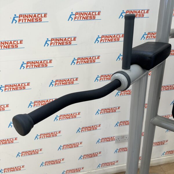 Technogym Chin Dip Leg Raise Frame - Image 12