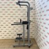 Technogym Chin Dip Leg Raise Frame