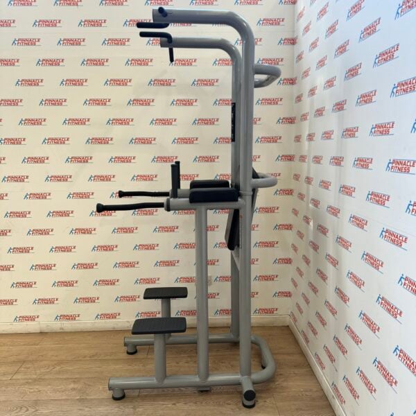 Technogym Chin Dip Leg Raise Frame - Image 13