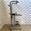 Technogym Chin Dip Leg Raise Frame
