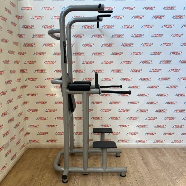 Technogym Chin Dip Leg Raise Frame - Image 14
