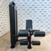 BLITZ FITNESS Dual Leg Extension and Lying Leg Curl Machine