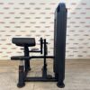 Dual Bicep and Tricep Machine by BLITZ FITNESS