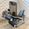Precor Vitality Leg Extension / Leg Curl