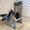 Precor Vitality Leg Extension / Leg Curl