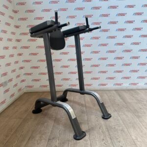 Impulse Dip and Knee Raise Frame