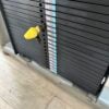 Pulse Evolve Series Bicep Curl
