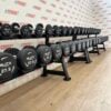 Urethane Dumbbells Set 2.5kg to 50kg by BLITZ FITNESS