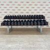 Life Fitness Urethane Dumbbell Set 2.5 to 30kg with Rack