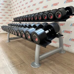 Life Fitness Urethane Dumbbell Set 2.5 to 30kg with Rack