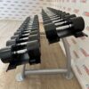 Life Fitness Urethane Dumbbell Set 2.5 to 30kg with Rack