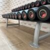 Life Fitness Urethane Dumbbell Set 2.5 to 30kg with Rack