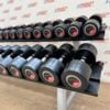 Life Fitness Urethane Dumbbell Set 2.5 to 30kg with Rack