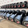 Life Fitness Urethane Dumbbell Set 2.5 to 30kg with Rack