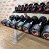 Life Fitness Urethane Dumbbell Set 2.5 to 30kg with Rack