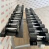 Life Fitness Urethane Dumbbell Set 2.5 to 30kg with Rack