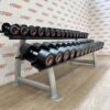 Life Fitness Urethane Dumbbell Set 2.5 to 30kg with Rack