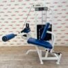 Life Fitness Pro 1 Seated Leg Curl