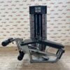 Life Fitness Fit Series Dual Leg Extension / Leg Curl