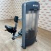 Precor Discovery Series Seated Row