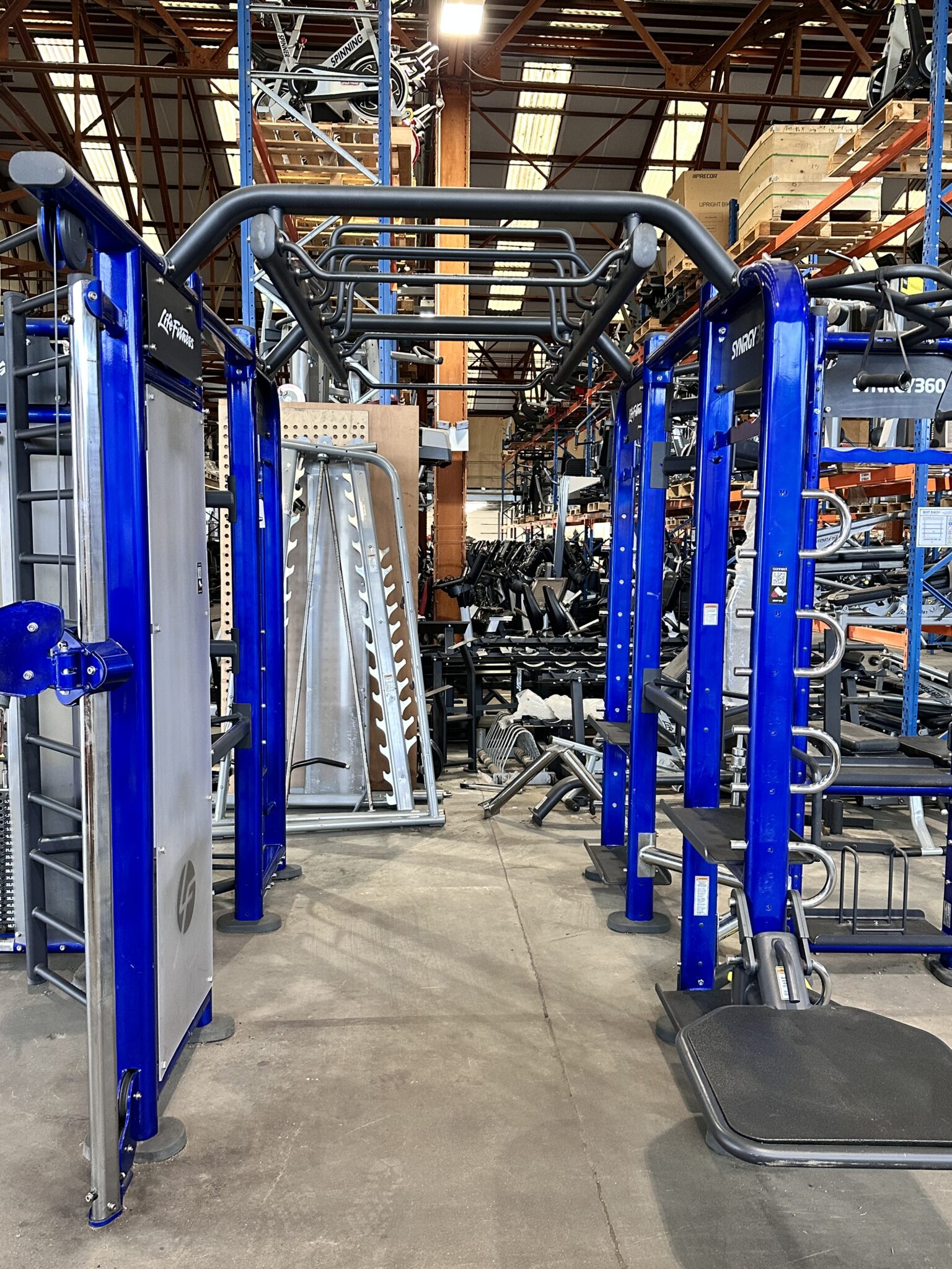 Life Fitness SYNRGY 360XM Group Training Rig (Electric Blue)